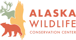 Alaska Wildlife Conservation Center